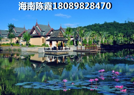 “候鸟”老人如何在儋州夏日国际商业广场买到性价比高的房子？