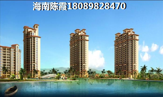 中南西海岸VS东山绿景·波拉小城（改名为香格里温泉小镇）分析对比