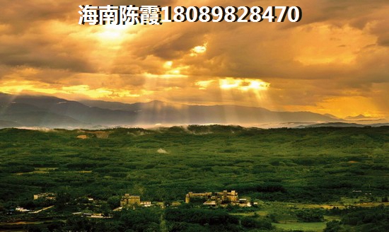 海南吉报海花盛景