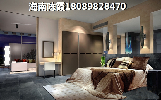 海南儋城壹品