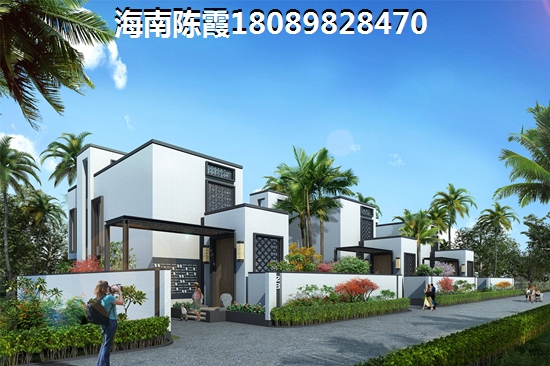 和泰花园VS碧桂园滨海国际分析对比