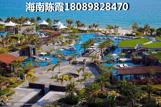 蔚蓝椰风VS金龙大观分析对比