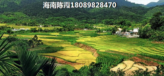 福安·滨海城邦（和泰花园）