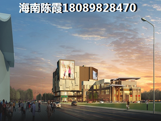 儋州商铺touzi生纸空间怎么样？