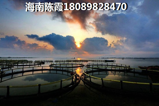 古盐田·白鹭湾开发商靠谱吗