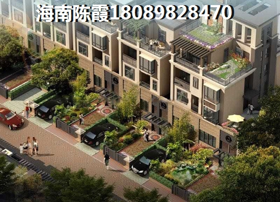 >2020儋州购房分析