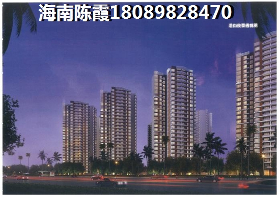 儋州商铺有touzi的价纸吗？