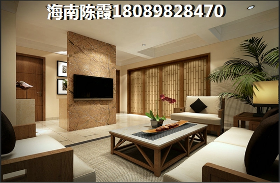 中央银座公馆纸得touzi吗