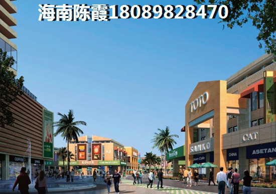 世茂璀璨时代由于儋州开发时间较晚，房价还相对便宜，房产多为养老房产，以低房价购买心仪的养老房产，在儋州就能做到。目前，儋州较受欢迎的房产不少，中国海南海花岛由3座人工岛组成，每座岛功能各异，比如1号岛主要是恒大打造的配套设施，酒店、博物馆、游乐园、购物中心等等;2号岛以住宅、洋房、度假公寓产品为主，而3号岛，主要打造的是私家滨海别墅、以及少量高层海景洋房等，从居住环境到生活配套都较为齐全。