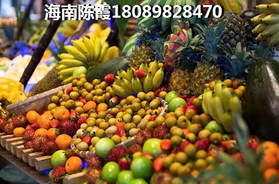 儋州房产