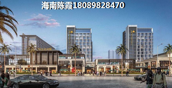 海南岛2023购房条件