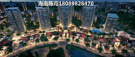 海南儋州房子能touzi吗