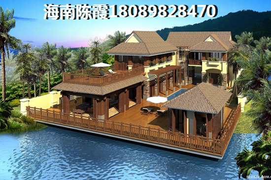 海南洋浦什么项目适合居住养老的2