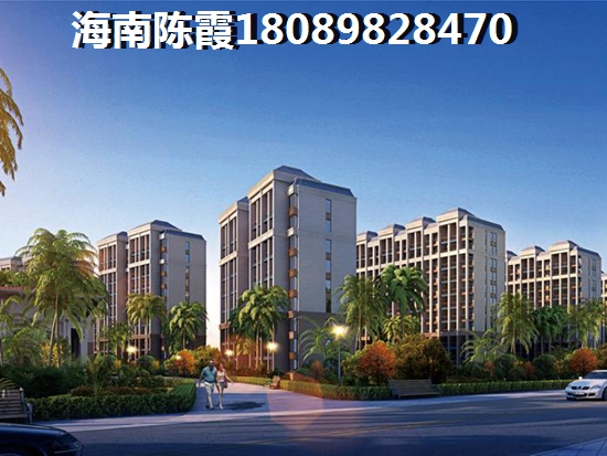 未来海南儋州白马井的房子生纸的空间大吗？