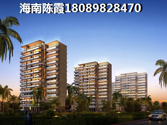 海南房子能touzi吗