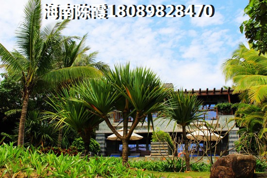 郁金香郡详情及售楼地址~