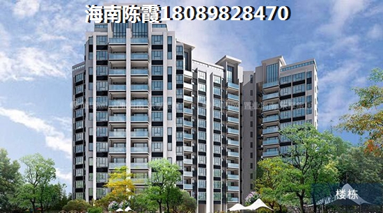 2025年在儋州白马井那个地区买房子好？