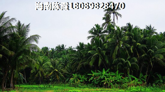 海南白沙房价还会涨吗